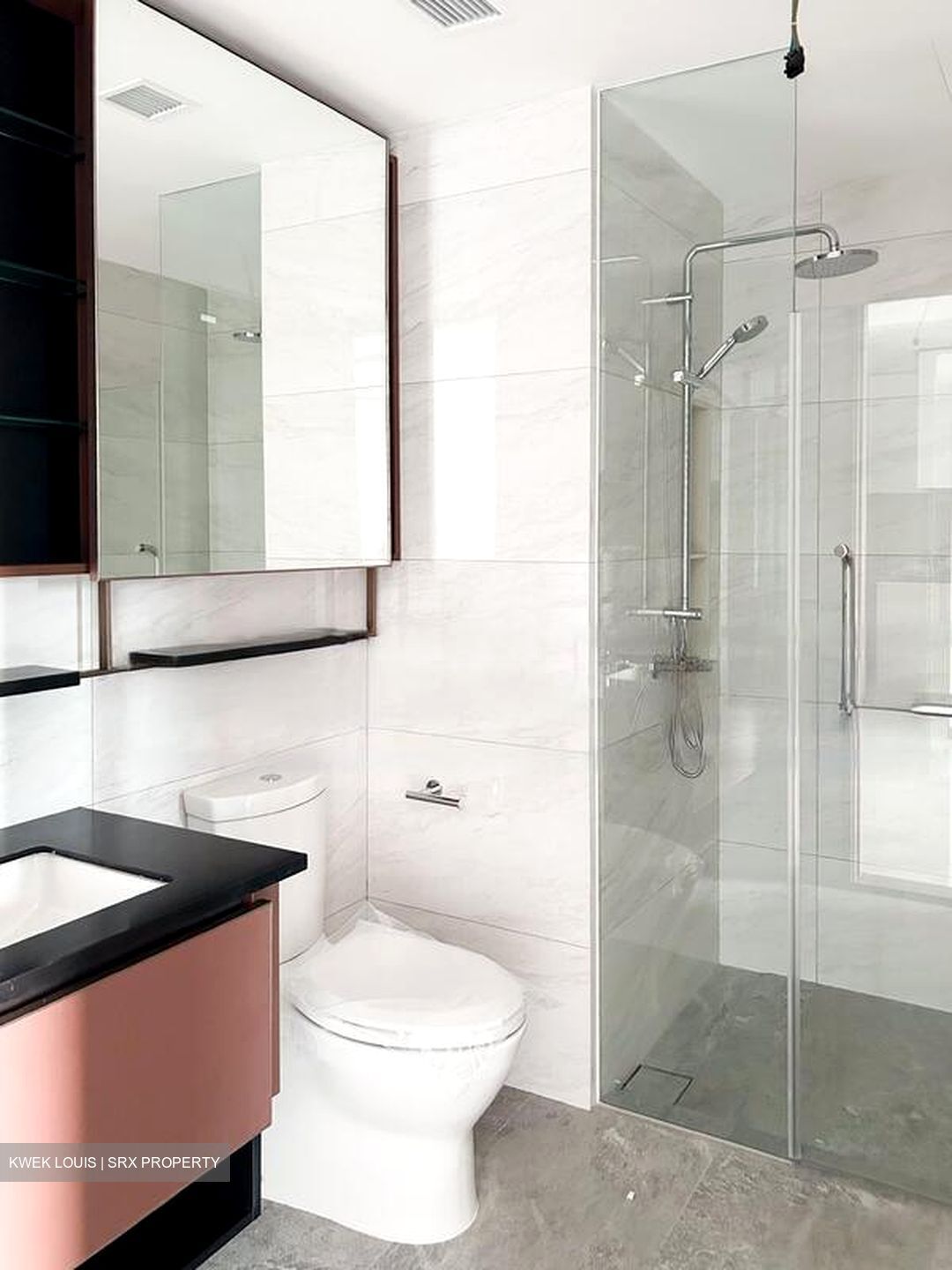 Normanton Park (D5), Apartment #452951541